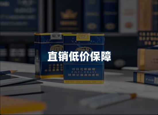 专业团队办公环境